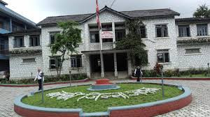 सहकारी ठगी प्रकरणः रबि लामिछानेका पक्षधर वकिलको बहस सुरू
